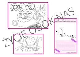 O JEŻU SŁÓW KILKA