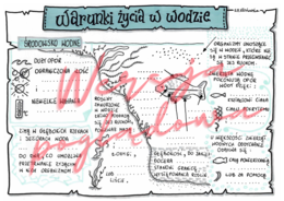 Warunki życia w wodzie -przyroda kl. 4