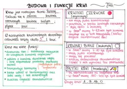 Budowa i funkcje krwi (sketchnotka)
