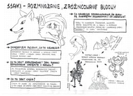 Ssaki - zróżnicowanie budowy ciała - klasa 6- sketchnotka