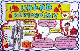 Klasa 4. Przyroda. Karta pracy. Układ krwionośny