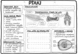 Ptaki - szarość - klasa 6