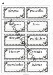 Stacje zadaniowe- ortografia (rz po spółgłoskach)