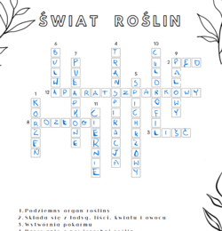 Krzyżówka- botanika, rośliny, organy, tkanki