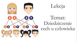 Klasa 8 - Dziedziczenie cech u człowieka - prezentacja