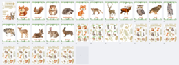 FOREST ANIMALS set