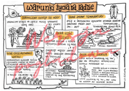 Warunki życia na lądzie -przyroda kl. 4