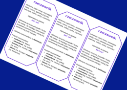 RZECZOWNIK – części mowy – wklejka – wklejki – egzamin – powtórzenie