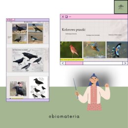 Przegląd PTAKÓW Polski