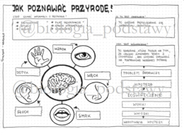 Klasa 4 - Jak poznawać przyrodę - sketchnotka
