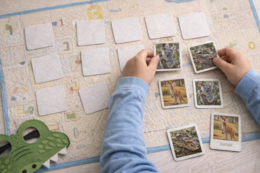 Australian animals. My trip to Australia [ANGIELSKI DLA KLAS 1-3]