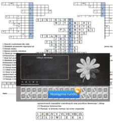 Logogryf dla klasy 4 na podsumowanie działu Tajemnice ciała człowieka