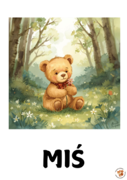 DZIEŃ PLUSZOWEGO MISIA