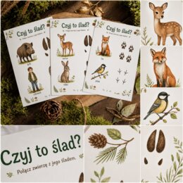 Czyj to ślad?
