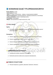 Scenariusze zajęć Tyflopedagogika, Tyflopedagog