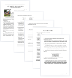 czytanie ze zrozumieniem - sprawdzian - klasa 4