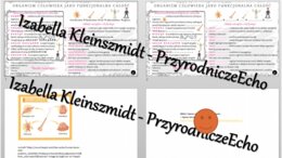 Minizestaw na temat „Organizm człowieka jako funkcjonalna całość” – sketchnotka + karta pracy w power point + gratisowy link do prezentacji multimedialnej niekomercyjnej wykonanej w genial.ly do indywidualnego pobrania i użycia do celów niekomercyjnych. 