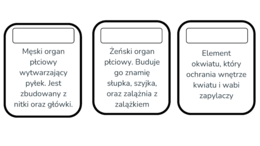 Budowa kwiatu - karty do nauki trójstopniowej