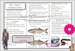 Sketchnotka/książeczka/notatka/wklejka/ściąga dla ucznia i przypomnienie dla nauczyciela/edukacja domowa. Temat „Ryby-kręgowce środowiska wodnego”. Materiał w pdf. Biologia 6, dział „Kręgowce zmiennocieplne”. Nowość 2024/2025.