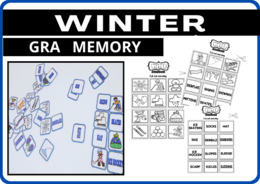 WINTER - GRA MEMORY