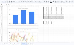 Automatyczna Tablica Excel – Analiza wyników egzaminu ósmoklasisty  E8