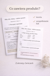 Róża, róże, różany – rodzina wyrazów [Karta pracy]