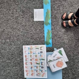 Describing faces games