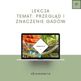 Przegląd i znaczenie gadów - gra zgadnij kto to