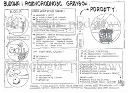 Klasa 5 - Grzyby i Porosty - sketchnotka