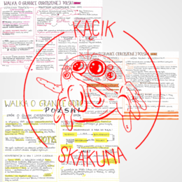 Walka o granice odrodzonej Polski (PAKIET 3 KART) - HISTORIA - XX-lecie międzywojenne - rysnotka/notatka/sketchnotka/notatka rysunkowa