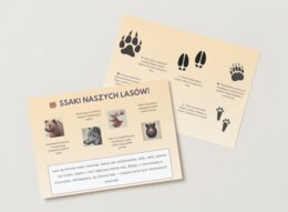 Ekologia. Zwierzęta wodne. Ssaki. Ptaki. Owady. Grzyby.