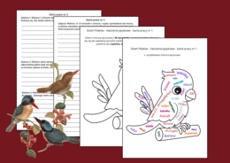 🦜 🐦Dzień Ptaków - ĆWICZENIA ORTOGRAFICZNE I REDAKCYJNE ✍️ – Chmura wyrazowa o ptakach – kreatywne zadania językowe dla uczniów – karty pracy – klasy 4-8 – JESIEŃ – wiosna - ortografia