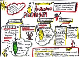 Klasa 5. Biologia. Protista (karta pracy kolorowa)