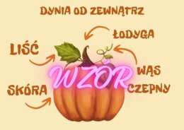 Dzień Dyni, materiały, gazetka ścienna, dekoracje