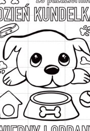 Dzień Kundelka - plakat, opaski