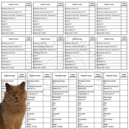 Kryteria oceny wypracowania na E8