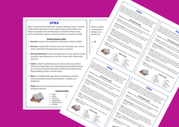 EPIKA - rodzaje literackie – wklejka – wklejki - kl.4-8 – egzamin – powtórzenie