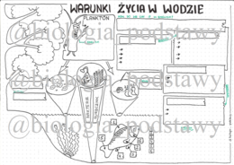 Klasa 4 - Warunki życia w wodzie