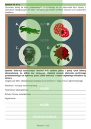 Próbny egzamin ósmoklasisty - Akademia pana Kleksa