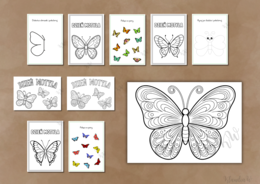 Dzień Motyla - zestaw