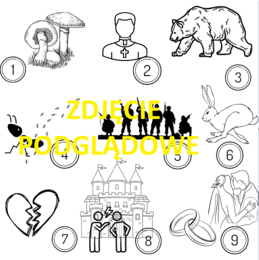 Ikonki - Pan Tadeusz, zadanie egzaminacyjne - egzamin ósmoklasisty