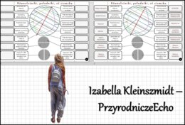 Notatka okienkowa/stacja zadaniowe/notatka/notatka graficzna/karta pracy/sketchnotka „Czym są południki i równoleżniki?”, „Czym są współrzędne geograficzne?”, „Przez lądy i oceany”, w pdf. Geografia 6, dział „Współrzędne geograficzne” oraz Geografia 5 „L