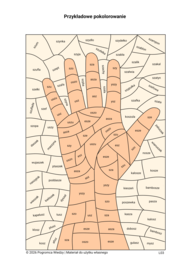 Głoska SZ  - logotomy i wyrazy