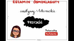 Motywy na egzamin ósmoklasisty: przyjaźń - film youtube
