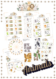 Karty pracy -Animals Wild Animals Zwierzątka Zwierzęta