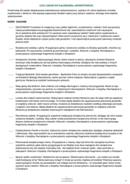 Kalendarz adwentowy. 30 zadań do druku dla dzieci (i rodziców)