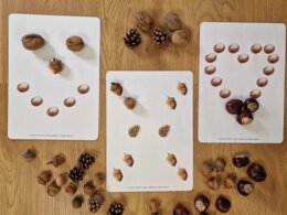 Wzory do układania - dary jesieni