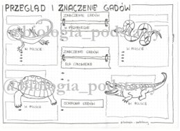 Klasa 6 - Gady - przegląd i znaczenie - KP