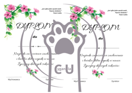 Dyplomy / wkładki na zakończenie roku szkolnego