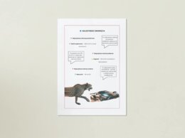 Plakaty przedstawiające ekosystemy, zwierzęta, rośliny, ochronę środowiska.